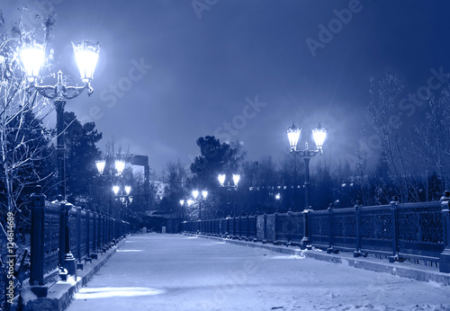 Winter park w nocy, most pokryty śniegiem z lampami. Stonowanych