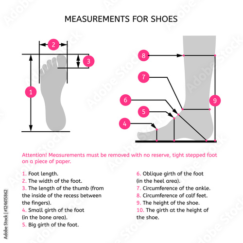 Measurements for the manufacture of footwear. The foot profile and top view. Infographics