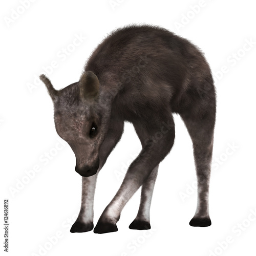 3D Rendering Caribou Calf on White