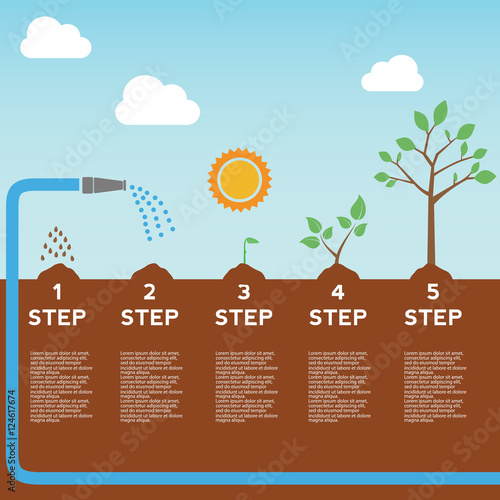 Timeline infographic of planting tree process, business concept flat design