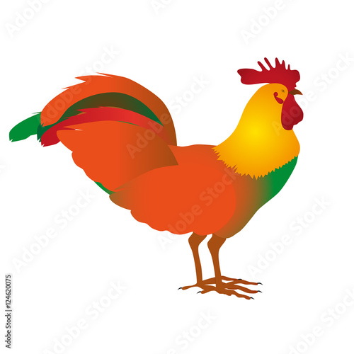 Rooster  cock portrait cartoon illustration. Holiday card design element.