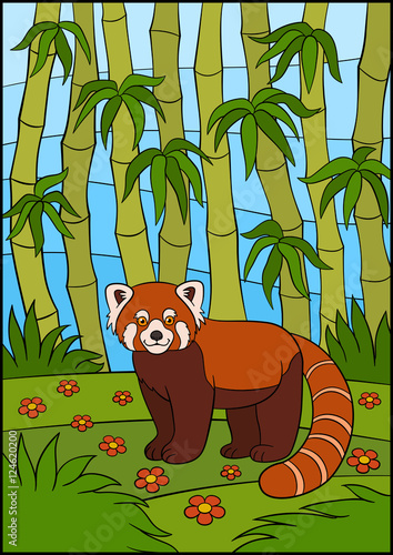 Fototapeta Naklejka Na Ścianę i Meble -  Cartoon wild animals. Little cute red panda smiles.