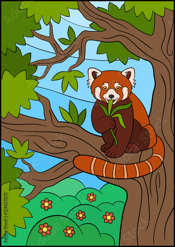 Fototapeta Naklejka Na Ścianę i Meble -  Cartoon wild animals. Little cute red panda eat leaves.