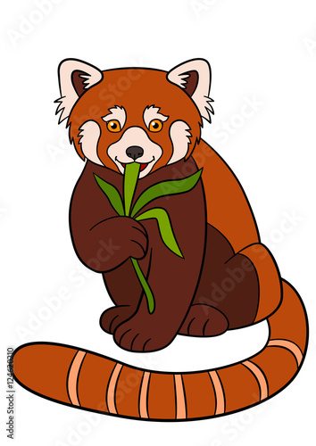 Fototapeta Naklejka Na Ścianę i Meble -  Cartoon wild animals. Little cute red panda eat leaves.