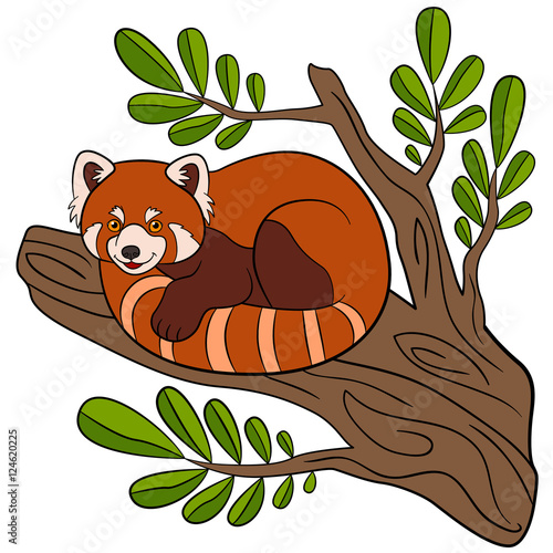 Fototapeta Naklejka Na Ścianę i Meble -  Cartoon wild animals. Little cute red panda smiles.