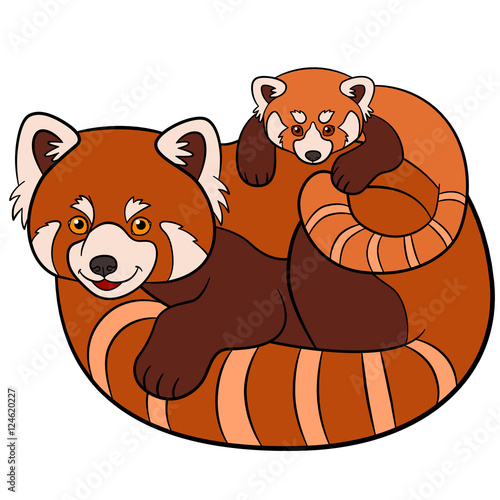 Fototapeta Naklejka Na Ścianę i Meble -  Cartoon wild animals. Mother red panda with her cute baby.
