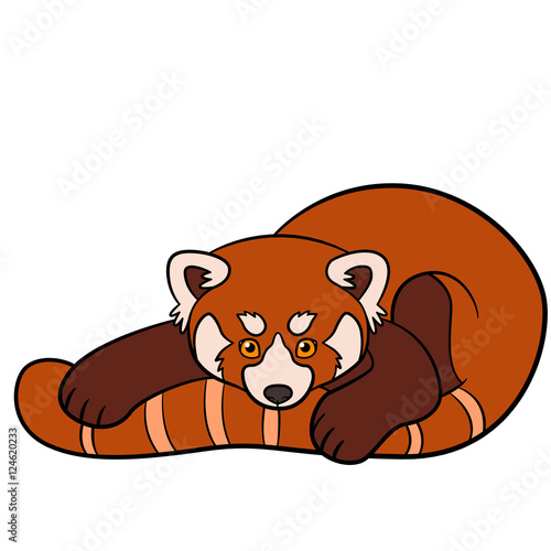 Fototapeta Naklejka Na Ścianę i Meble -  Cartoon wild animals. Little cute baby red panda.