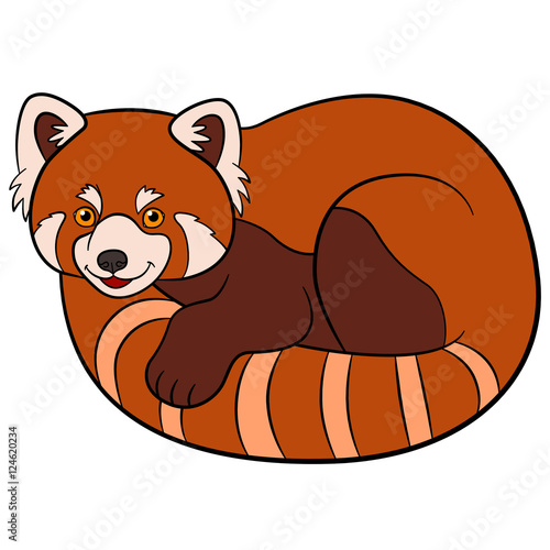 Fototapeta Naklejka Na Ścianę i Meble -  Cartoon wild animals. Little cute red panda.