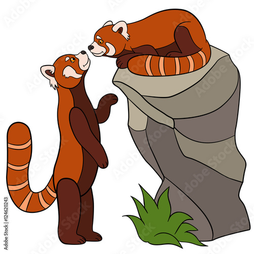 Fototapeta Naklejka Na Ścianę i Meble -  Cartoon wild animals. Two little cute red pandas.