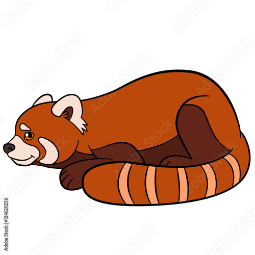 Fototapeta Naklejka Na Ścianę i Meble -  Cartoon wild animals. Little cute red panda.