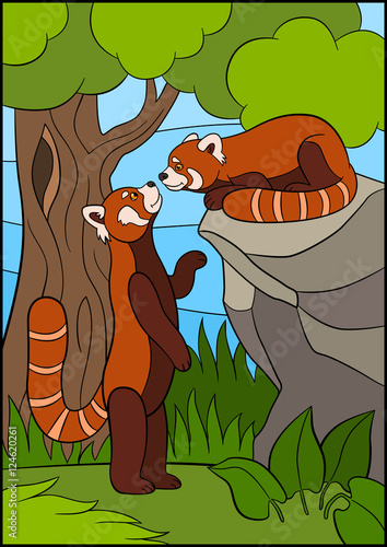 Fototapeta Naklejka Na Ścianę i Meble -  Cartoon wild animals. Two little cute red pandas.