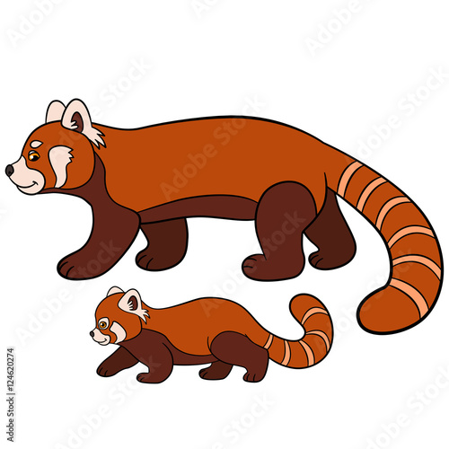 Fototapeta Naklejka Na Ścianę i Meble -  Cartoon wild animals. Mother red panda with her baby.