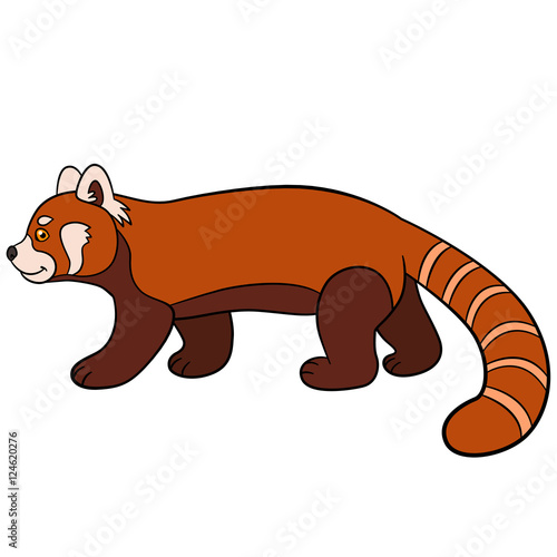 Fototapeta Naklejka Na Ścianę i Meble -  Cartoon wild animals. Little cute red panda walks.
