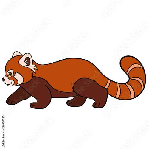 Fototapeta Naklejka Na Ścianę i Meble -  Cartoon wild animals. Little cute baby red panda.