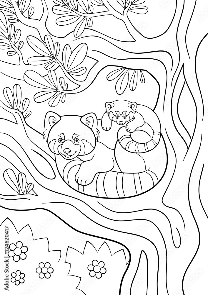 Obraz premium Coloring pages. Mother red panda with her cute baby.