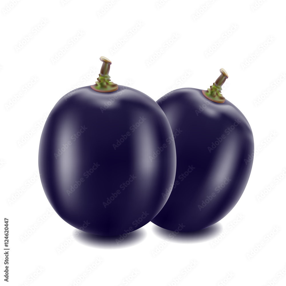 grapes isolated on over white background grapes isolated on over white background