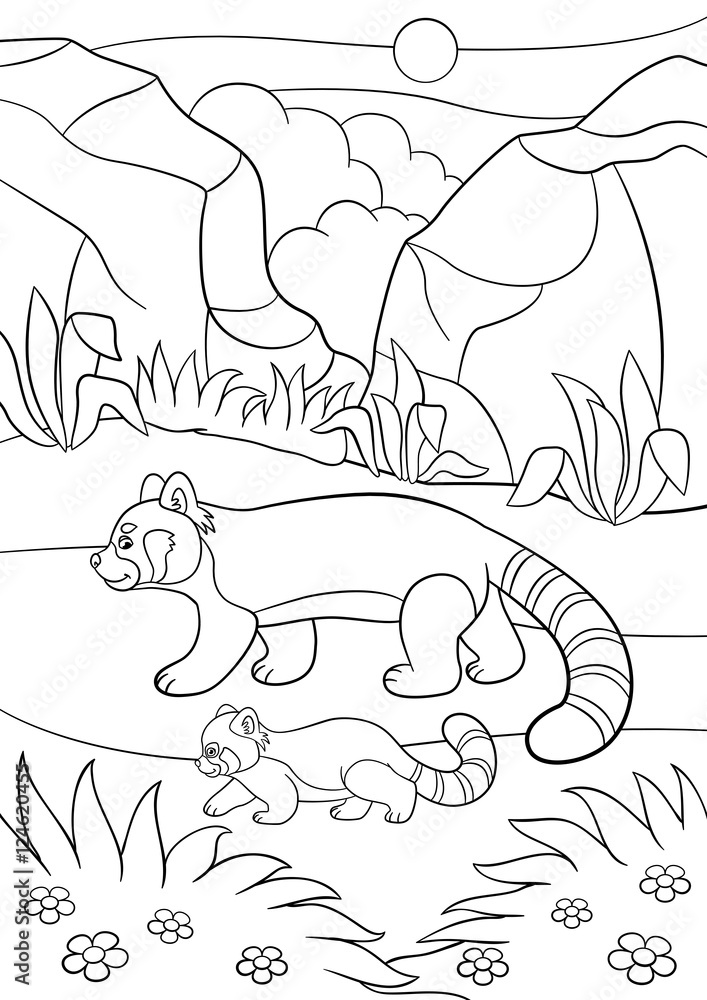 Fototapeta premium Coloring pages. Mother red panda walks with her baby.