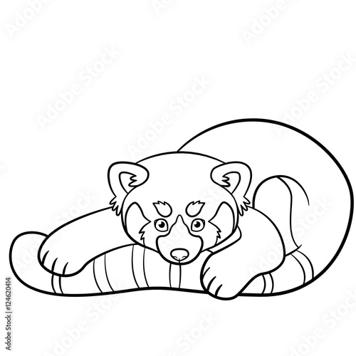 Fototapeta Naklejka Na Ścianę i Meble -  Coloring pages. Little cute red panda.