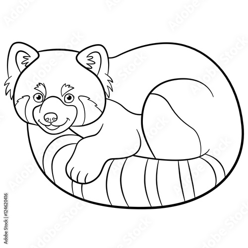 Fototapeta Naklejka Na Ścianę i Meble -  Coloring pages. Little cute red panda.