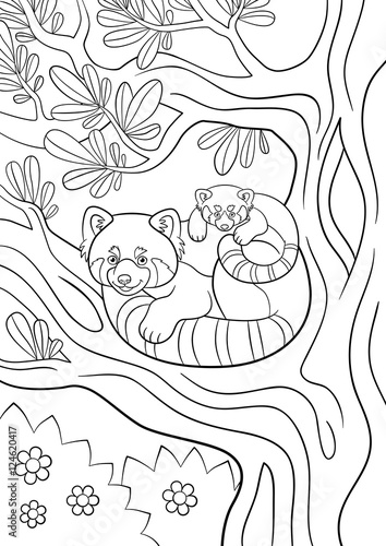 Coloring pages. Mother red panda with her cute baby.