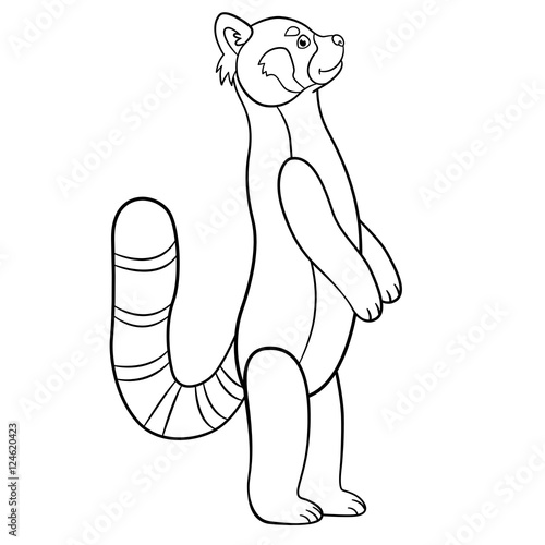 Fototapeta Naklejka Na Ścianę i Meble -  Coloring pages. Little cute red panda smiles.