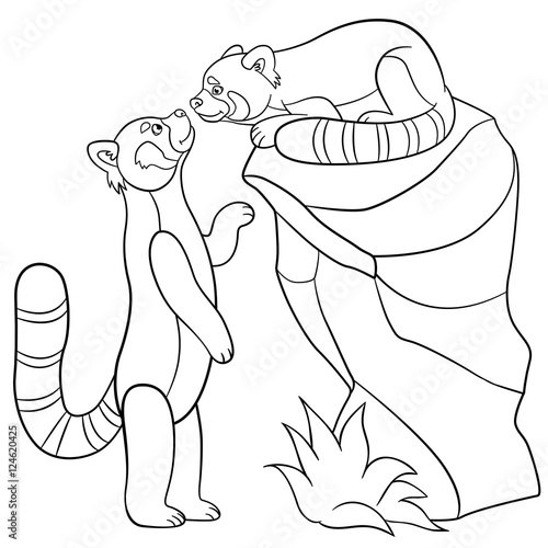 Fototapeta Naklejka Na Ścianę i Meble -  Coloring pages. Two little cute red pandas.