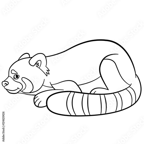 Fototapeta Naklejka Na Ścianę i Meble -  Coloring pages. Little cute red panda.