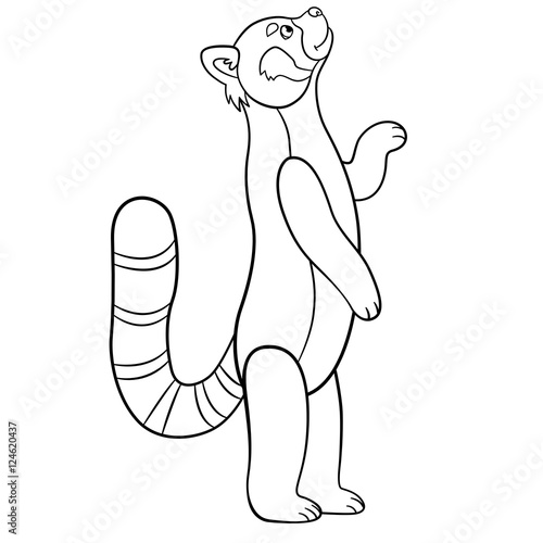 Fototapeta Naklejka Na Ścianę i Meble -  Coloring pages. Little cute red panda smiles.