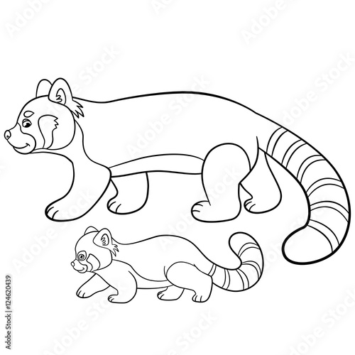 Fototapeta Naklejka Na Ścianę i Meble -  Coloring pages. Mother red panda walks with her baby.