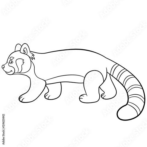 Fototapeta Naklejka Na Ścianę i Meble -  Coloring pages. Little cute red panda walks.