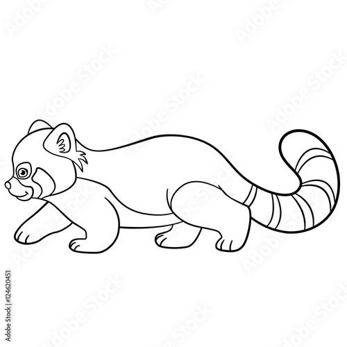 Fototapeta Naklejka Na Ścianę i Meble -  Coloring pages. Little cute red panda walks.