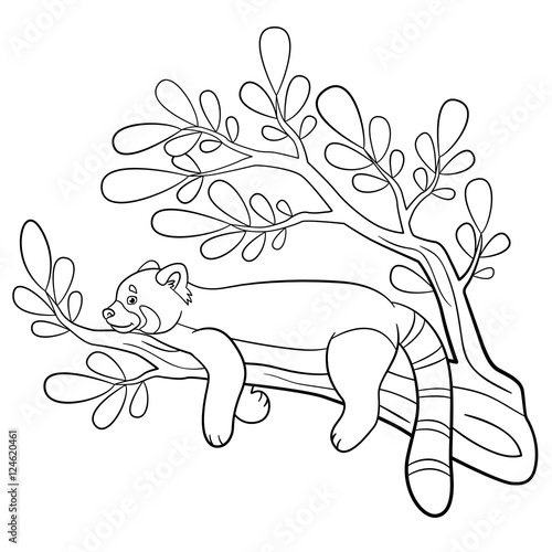Fototapeta Naklejka Na Ścianę i Meble -  Coloring pages. Little cute red panda smiles.