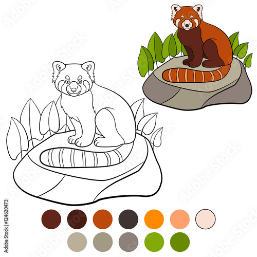 Fototapeta Naklejka Na Ścianę i Meble -  Coloring page: red panda. Little cute red panda smiles.