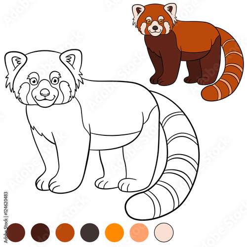 Fototapeta Naklejka Na Ścianę i Meble -  Coloring page: red panda. Little cute red panda smiles.