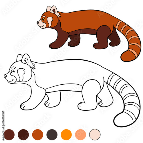 Fototapeta Naklejka Na Ścianę i Meble -  Coloring page: red panda. Little cute red panda walks.