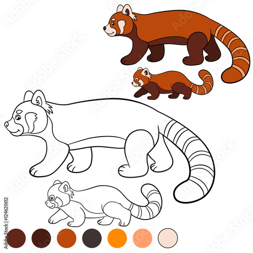 Fototapeta Naklejka Na Ścianę i Meble -  Coloring page: red panda. Mother red panda walks with baby.