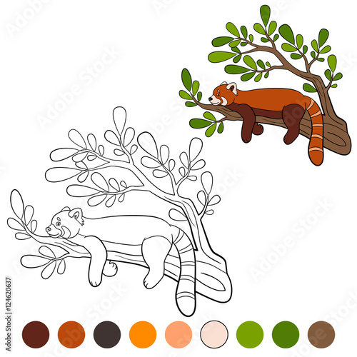 Fototapeta Naklejka Na Ścianę i Meble -  Coloring page: red panda. Little cute red panda.
