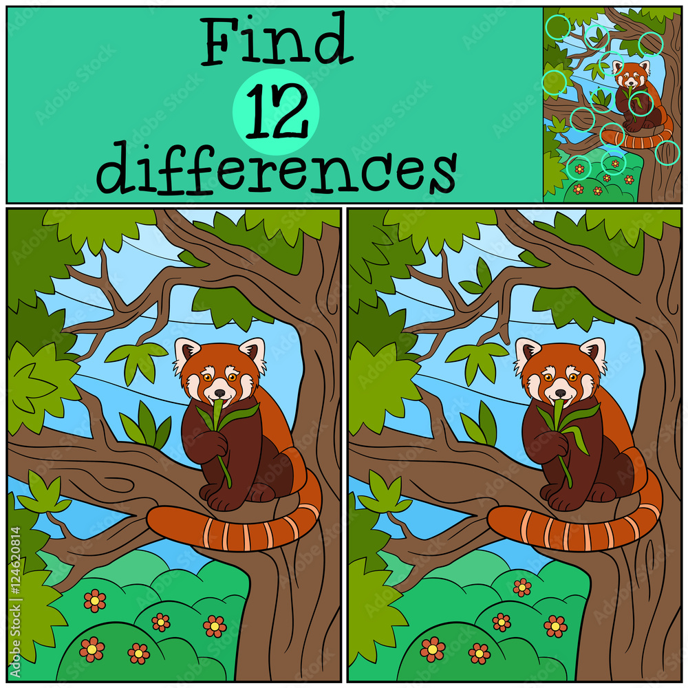 Fototapeta premium Educational game: Find differences. Little cute red panda eats.