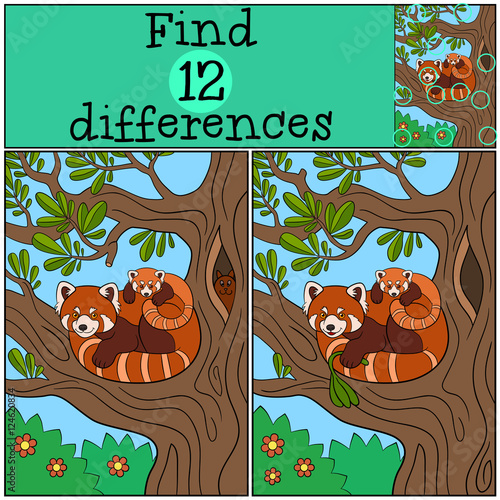 Fototapeta Naklejka Na Ścianę i Meble -  Educational game: Find differences. Mother red panda with her ba