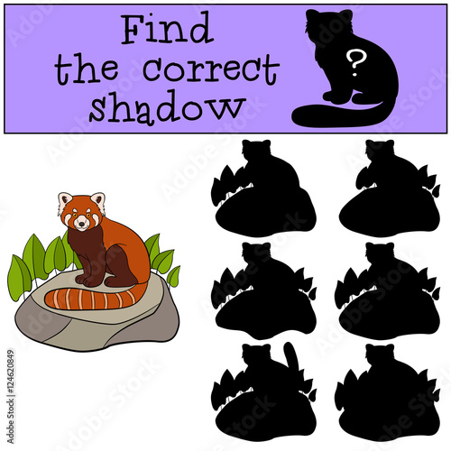 Fototapeta Naklejka Na Ścianę i Meble -  Educational game: Find the correct shadow. Little cute red panda