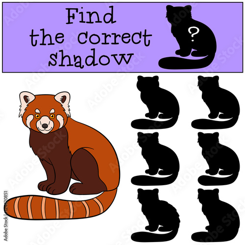 Fototapeta Naklejka Na Ścianę i Meble -  Educational game: Find the correct shadow. Little cute red panda