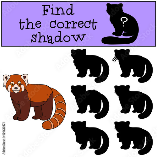 Fototapeta Naklejka Na Ścianę i Meble -  Educational game: Find the correct shadow. Little cute red panda