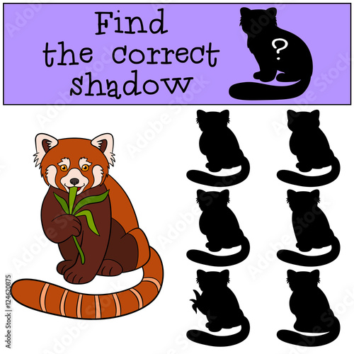Fototapeta Naklejka Na Ścianę i Meble -  Educational game: Find the correct shadow. Little cute red panda