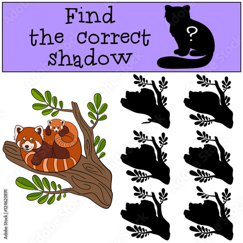 Fototapeta Naklejka Na Ścianę i Meble -  Educational game: Find the correct shadow. Red panda with baby.