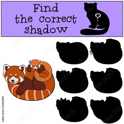 Fototapeta Naklejka Na Ścianę i Meble -  Educational game: Find the correct shadow. Red panda with baby.