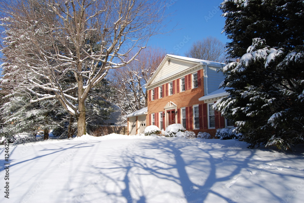 Winter scene with snow