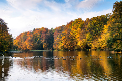 Fototapeta Naklejka Na Ścianę i Meble -  Beautiful forest and lake in autumn