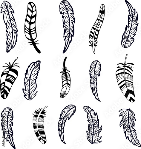 Vintage tribal doodle zentangle feathers photo