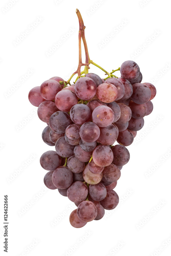 Fototapeta premium Trauben Rot
