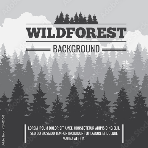 Wild coniferous pine forest vector outdoor nature background